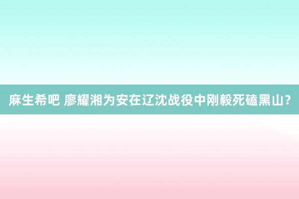 麻生希吧 廖耀湘为安在辽沈战役中刚毅死磕黑山？