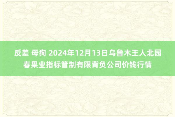 反差 母狗 2024年12月13日乌鲁木王人北园春果业指标管制有限背负公司价钱行情