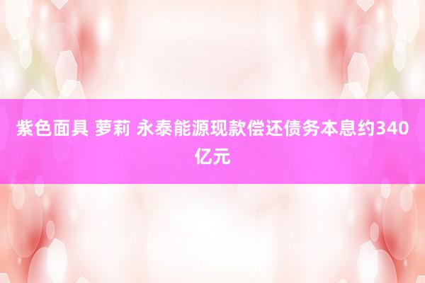 紫色面具 萝莉 永泰能源现款偿还债务本息约340亿元