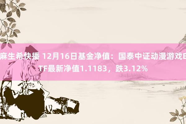 麻生希快播 12月16日基金净值：国泰中证动漫游戏ETF最新净值1.1183，跌3.12%