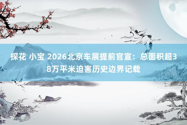 探花 小宝 2026北京车展提前官宣：总面积超38万平米迫害历史边界记载