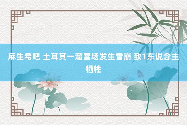 麻生希吧 土耳其一溜雪场发生雪崩 致1东说念主牺牲