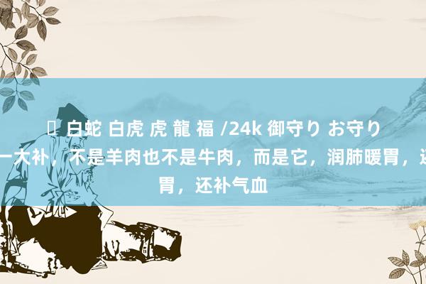 ✨白蛇 白虎 虎 龍 福 /24k 御守り お守り 冬天第一大补，不是羊肉也不是牛肉，而是它，润肺暖胃，还补气血