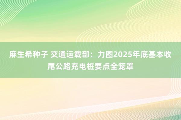 麻生希种子 交通运载部：力图2025年底基本收尾公路充电桩要点全笼罩