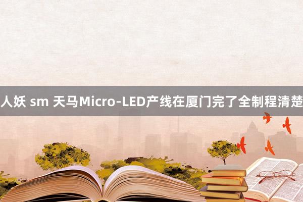 人妖 sm 天马Micro-LED产线在厦门完了全制程清楚
