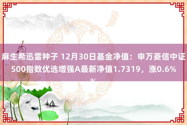 麻生希迅雷种子 12月30日基金净值：申万菱信中证500指数优选增强A最新净值1.7319，涨0.6%