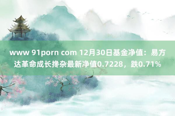 www 91porn com 12月30日基金净值：易方达革命成长搀杂最新净值0.7228，跌0.71%