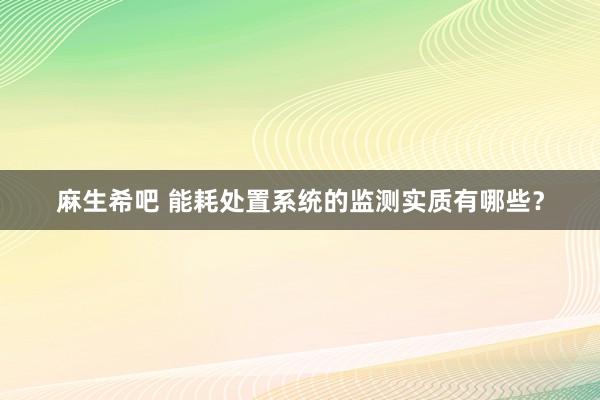麻生希吧 能耗处置系统的监测实质有哪些？