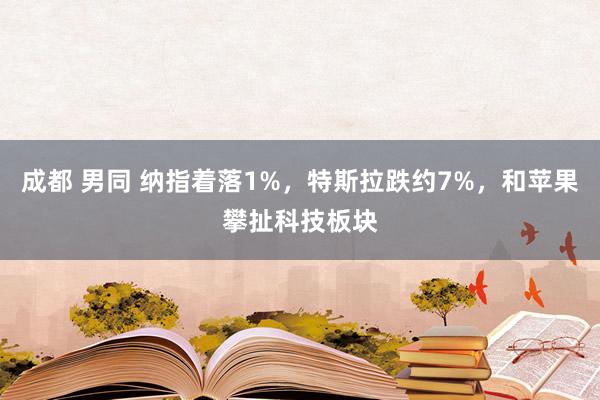 成都 男同 纳指着落1%，特斯拉跌约7%，和苹果攀扯科技板块