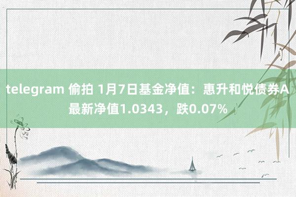 telegram 偷拍 1月7日基金净值：惠升和悦债券A最新净值1.0343，跌0.07%