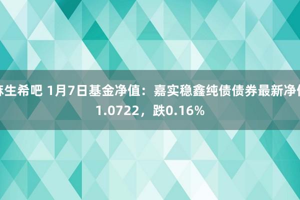 麻生希吧 1月7日基金净值：嘉实稳鑫纯债债券最新净值1.0722，跌0.16%