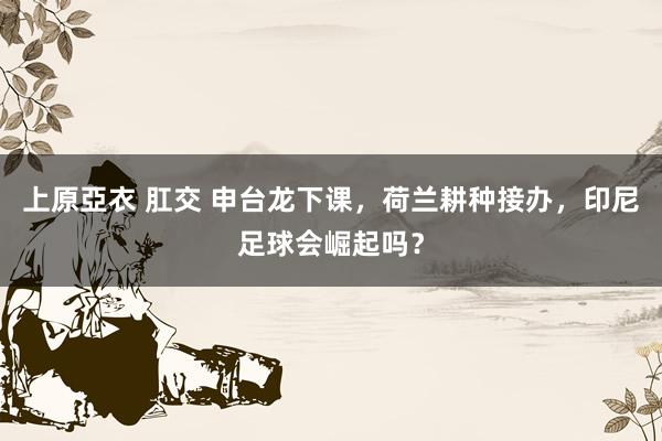 上原亞衣 肛交 申台龙下课，荷兰耕种接办，印尼足球会崛起吗？