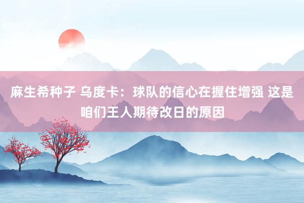 麻生希种子 乌度卡：球队的信心在握住增强 这是咱们王人期待改日的原因