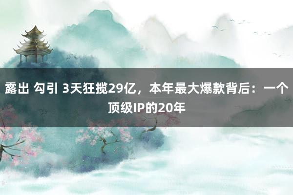露出 勾引 3天狂揽29亿，本年最大爆款背后：一个顶级IP的20年